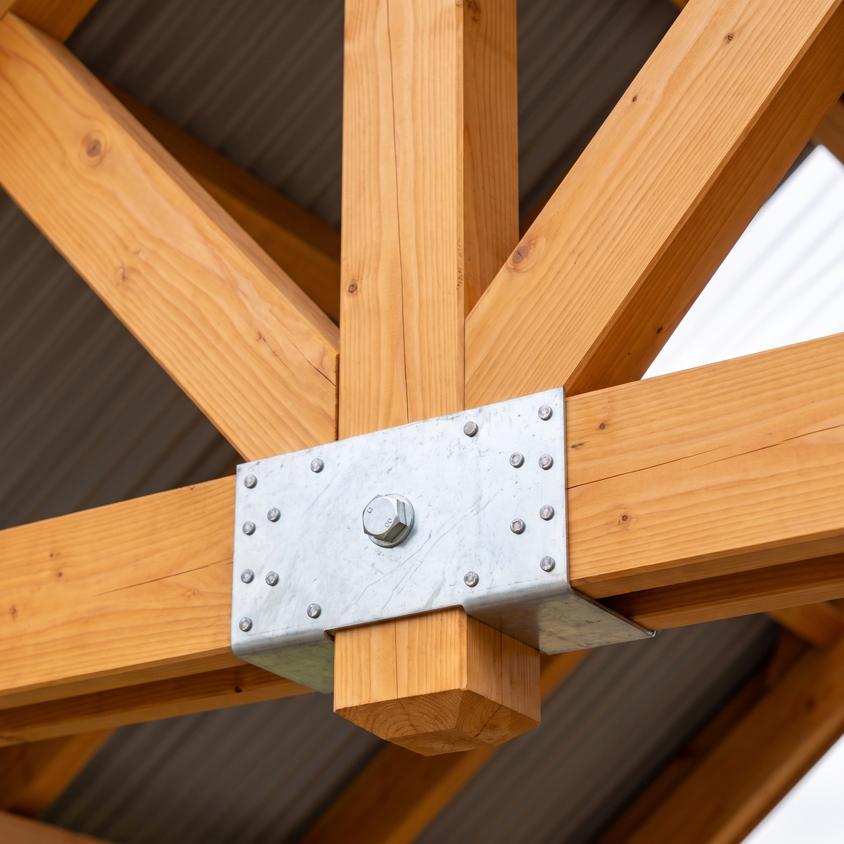 Macro du nœud de ferme du carport avec son connecteur galvanisé et son boulon